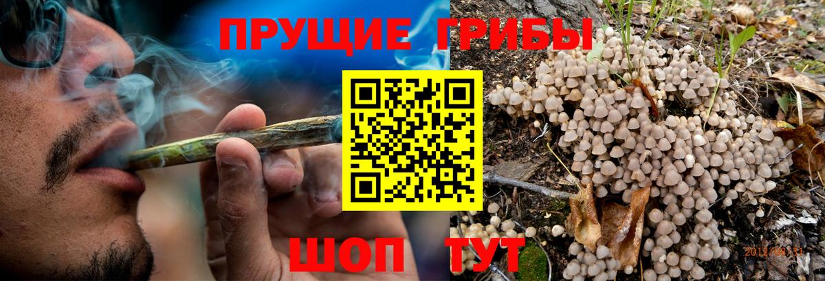 Галлюциногенные грибы мицелий  Вход с VPN  Десногорск 