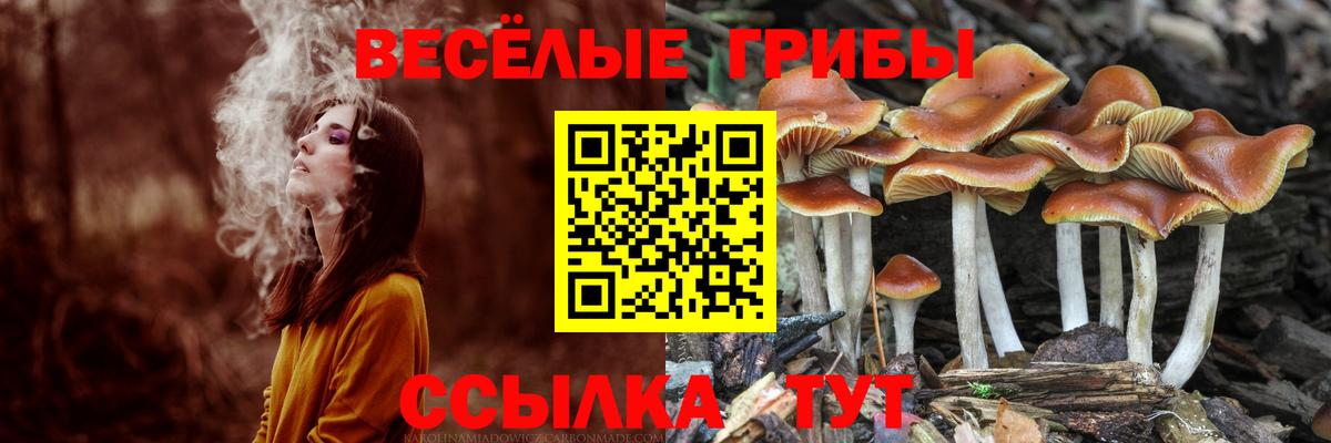 Псилоцибиновые грибы мицелий Десногорск
